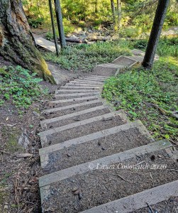 Obstruction Pass State Park-Orcas Island
