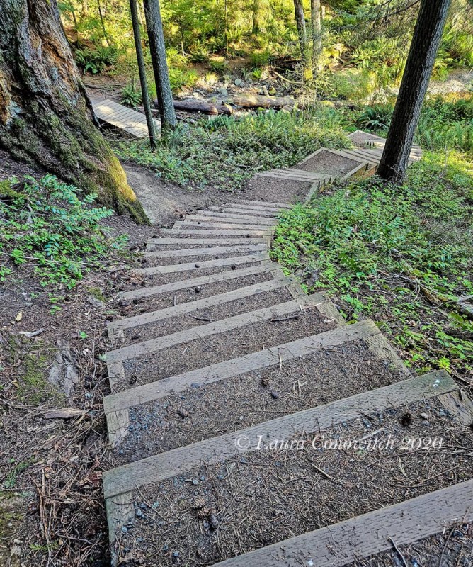 Obstruction Pass State Park-Orcas Island