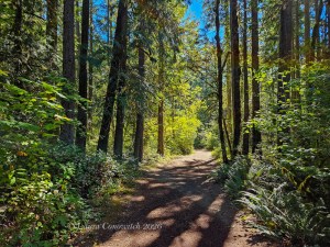 Deschutes Falls Park
