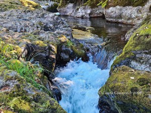 Deschutes Falls Park