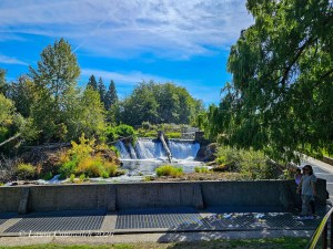 Tumwater River Walk Trail